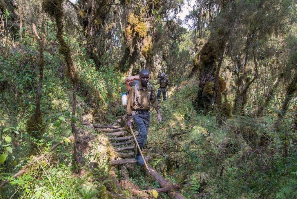 Kilimanjaro Training Plan for Beginners